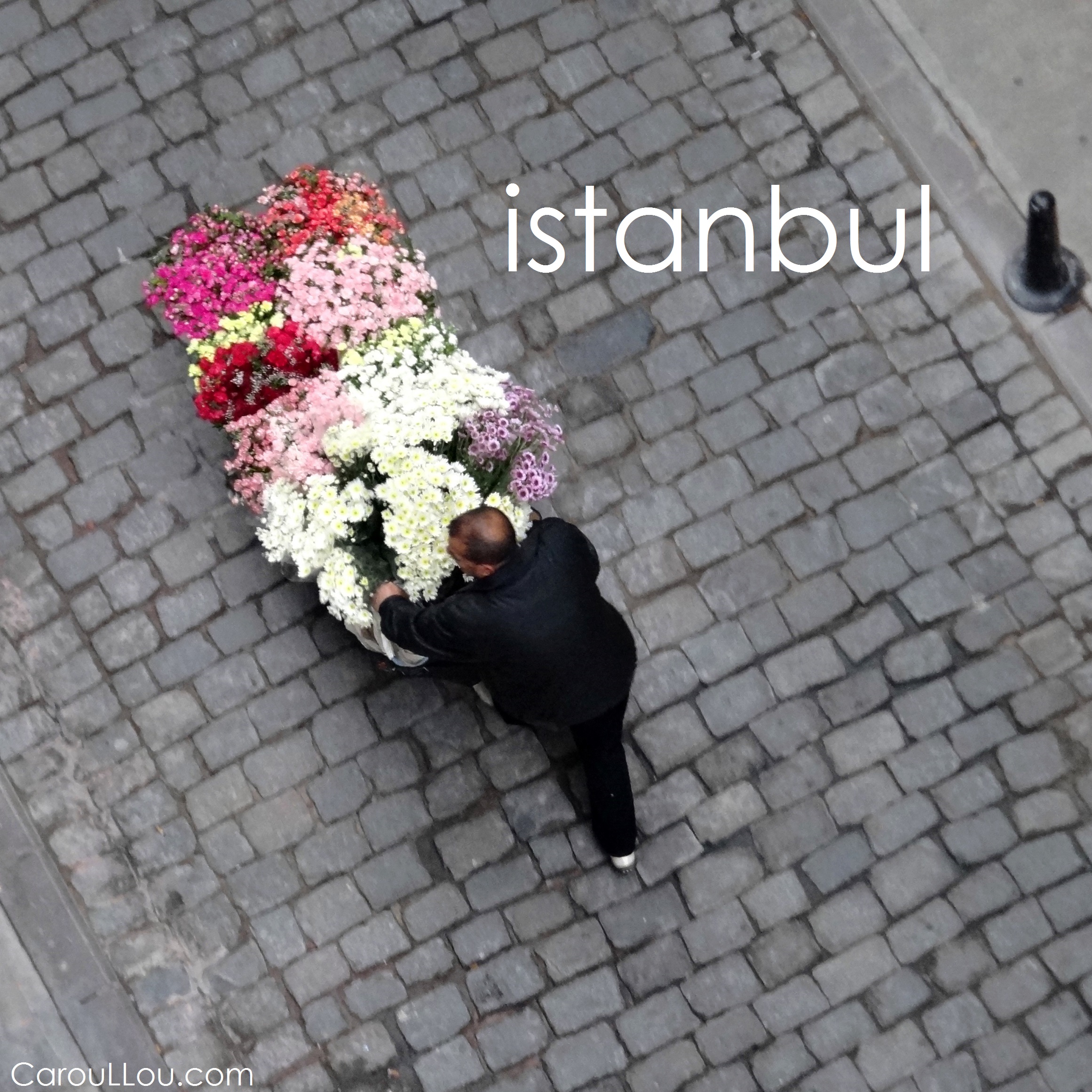 CarouLLou.com Carou LLou in Istanbul Turkey flowers +--