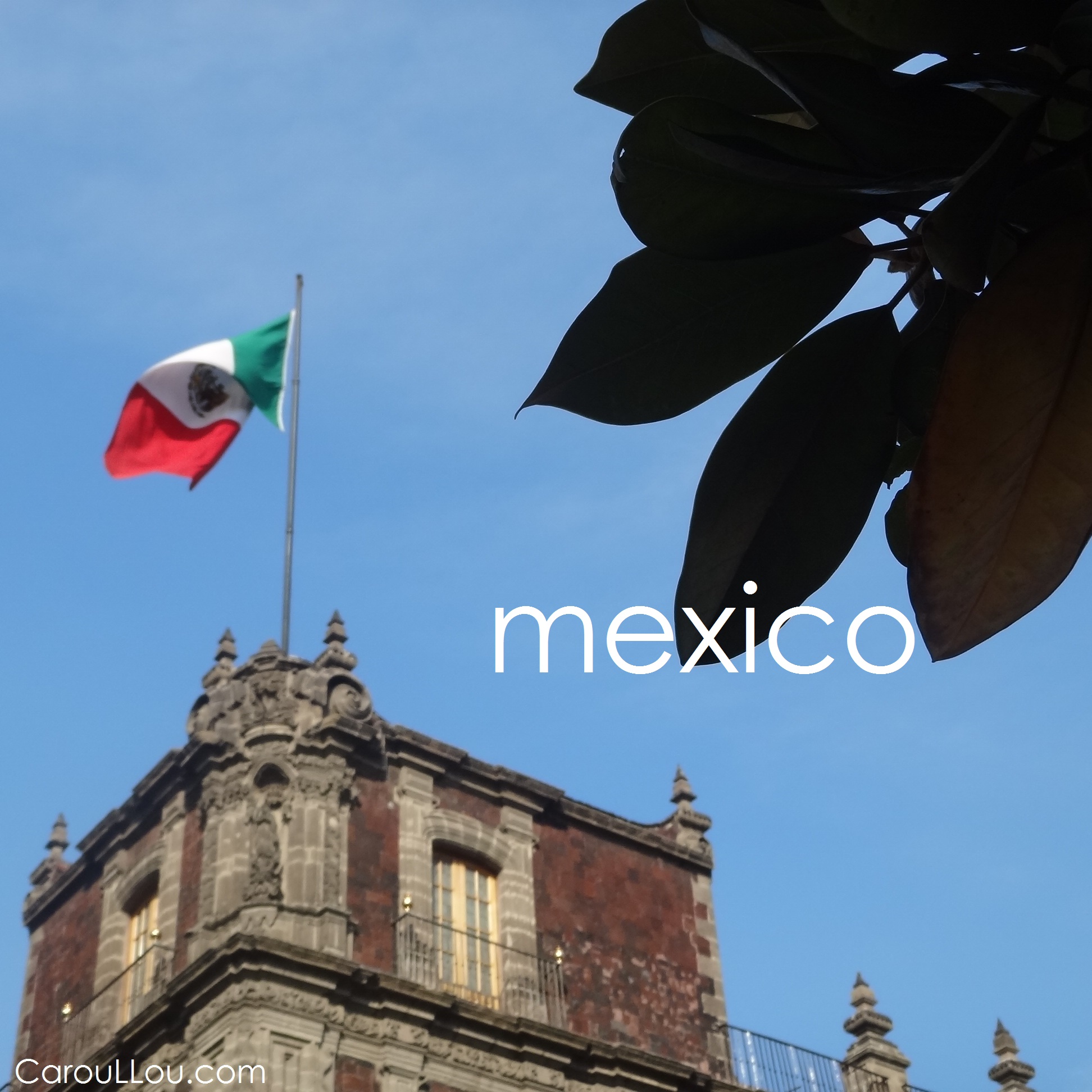 CarouLLou.com Carou LLou in Mexico city flag +-