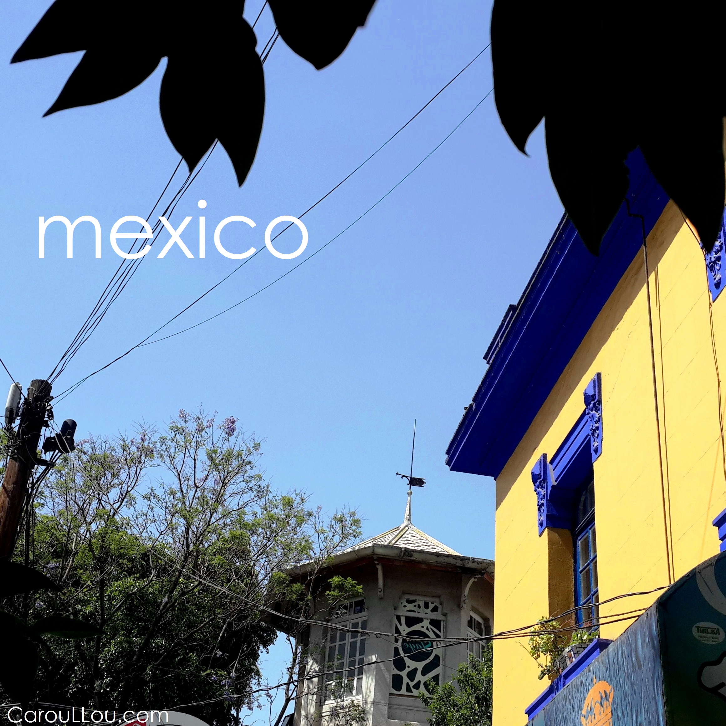 CarouLLou.com Carou LLou in Mexico city maison amigos +-